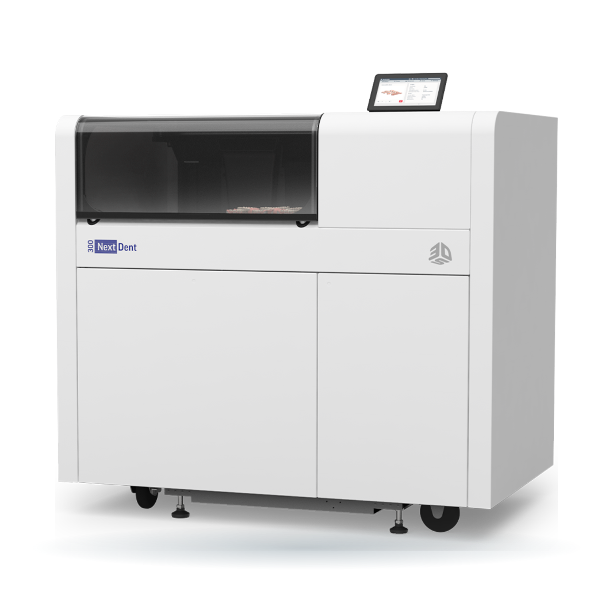 NextDent 300